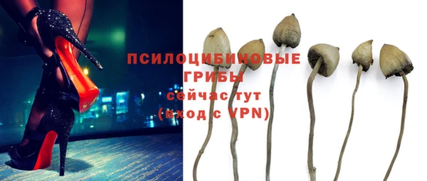 ECSTASY Абдулино
