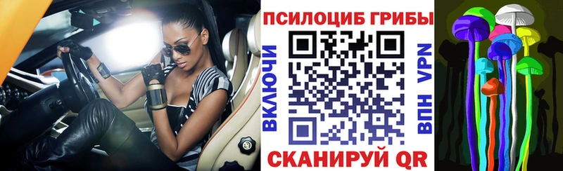 ссылка на мегу   Туапсе  Галлюциногенные грибы Magic Shrooms  купить наркотики сайты 